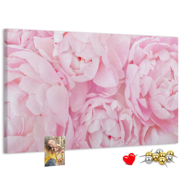 Kurk prikbord roze pioenrozen in een delicate tint