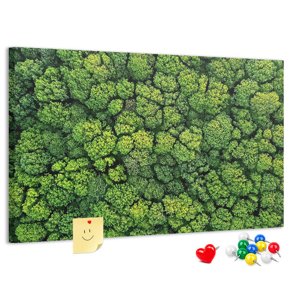 Kurk prikbord met een afbeelding van een groen bos met dichte vegetatie