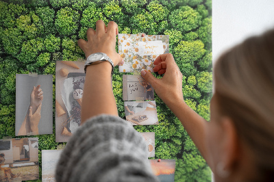 Kurk prikbord met een afbeelding van een groen bos met dichte vegetatie