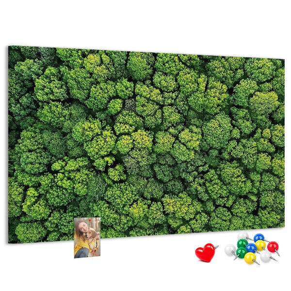 Kurk prikbord met een afbeelding van een groen bos met dichte vegetatie