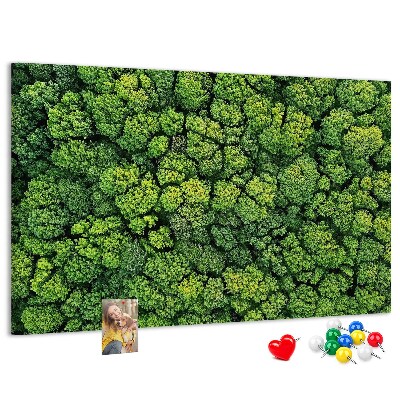 Kurk prikbord met een afbeelding van een groen bos met dichte vegetatie