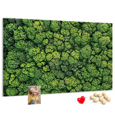 Kurk prikbord met een afbeelding van een groen bos met dichte vegetatie