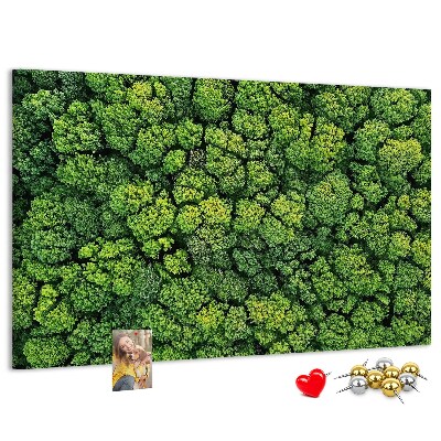 Kurk prikbord met een afbeelding van een groen bos met dichte vegetatie