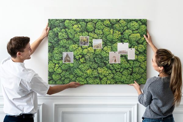 Kurk prikbord met een afbeelding van een groen bos met dichte vegetatie