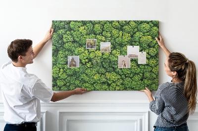 Kurk prikbord met een afbeelding van een groen bos met dichte vegetatie