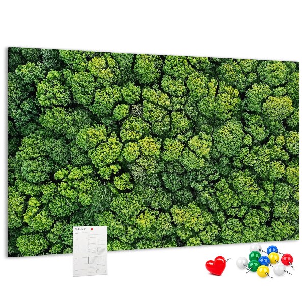 Kurk prikbord met een afbeelding van een groen bos met dichte vegetatie