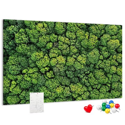 Kurk prikbord met een afbeelding van een groen bos met dichte vegetatie