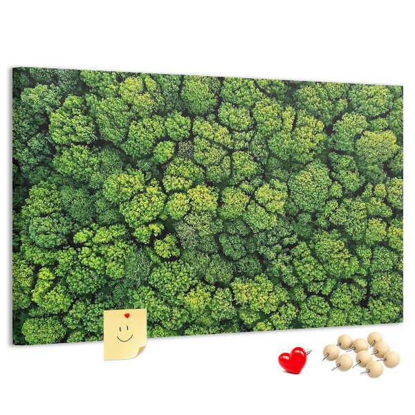 Kurk prikbord met een afbeelding van een groen bos met dichte vegetatie