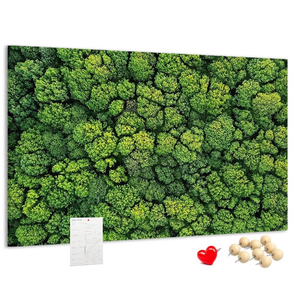 Kurk prikbord met een afbeelding van een groen bos met dichte vegetatie