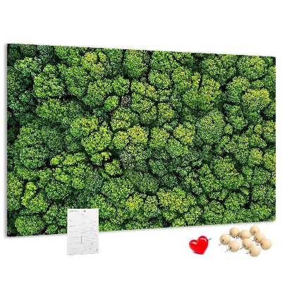 Kurk prikbord met een afbeelding van een groen bos met dichte vegetatie