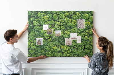 Kurk prikbord met een afbeelding van een groen bos met dichte vegetatie