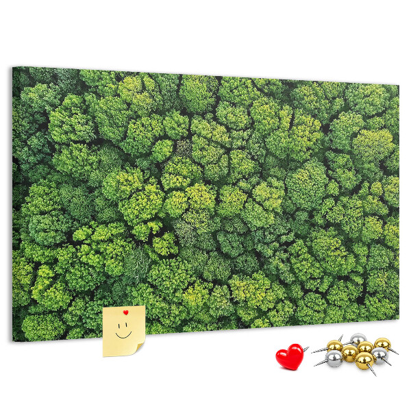 Kurk prikbord met een afbeelding van een groen bos met dichte vegetatie