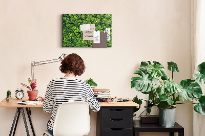Kurk prikbord met een afbeelding van een groen bos met dichte vegetatie