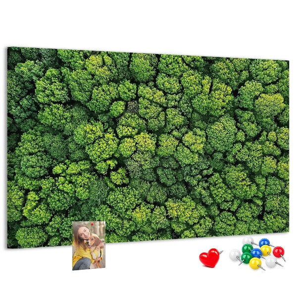 Kurk prikbord met een afbeelding van een groen bos met dichte vegetatie
