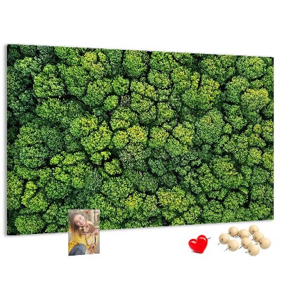 Kurk prikbord met een afbeelding van een groen bos met dichte vegetatie