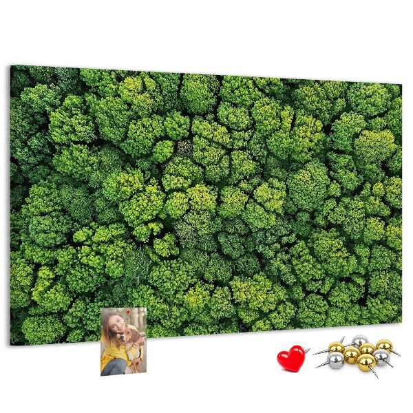 Kurk prikbord met een afbeelding van een groen bos met dichte vegetatie