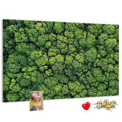 Kurk prikbord met een afbeelding van een groen bos met dichte vegetatie