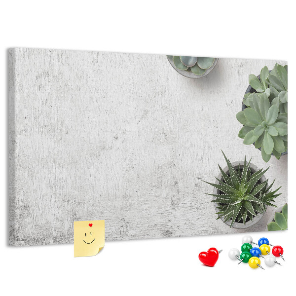 Kurkbord potplanten op een grijze achtergrond