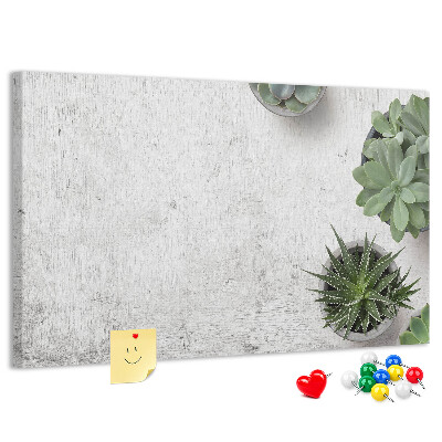 Kurkbord potplanten op een grijze achtergrond