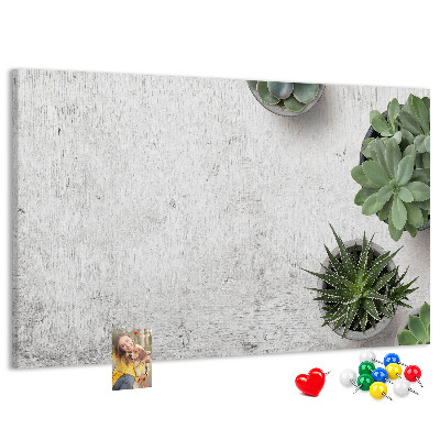 Kurkbord potplanten op een grijze achtergrond