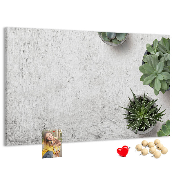Kurkbord potplanten op een grijze achtergrond