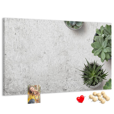 Kurkbord potplanten op een grijze achtergrond