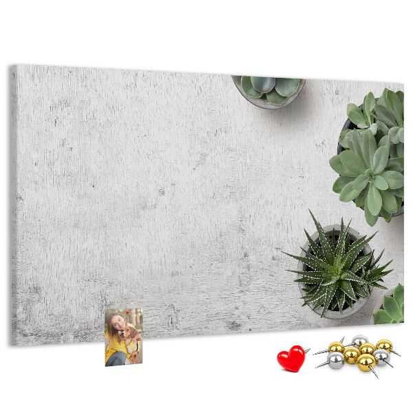 Kurkbord potplanten op een grijze achtergrond