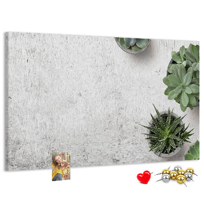 Kurkbord potplanten op een grijze achtergrond