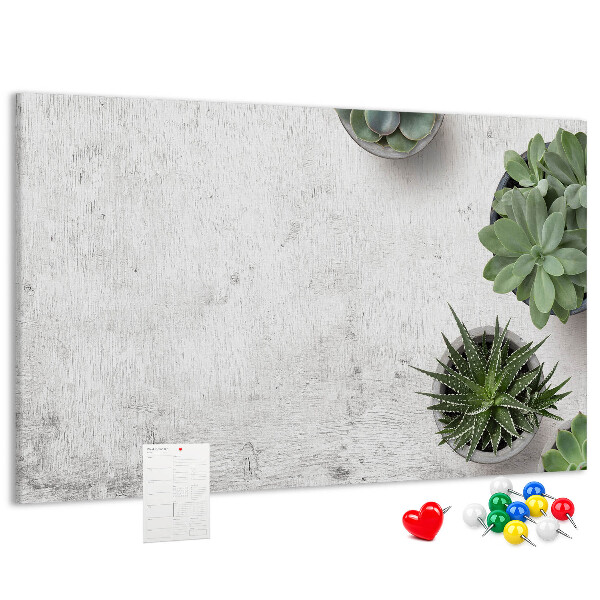 Kurkbord potplanten op een grijze achtergrond