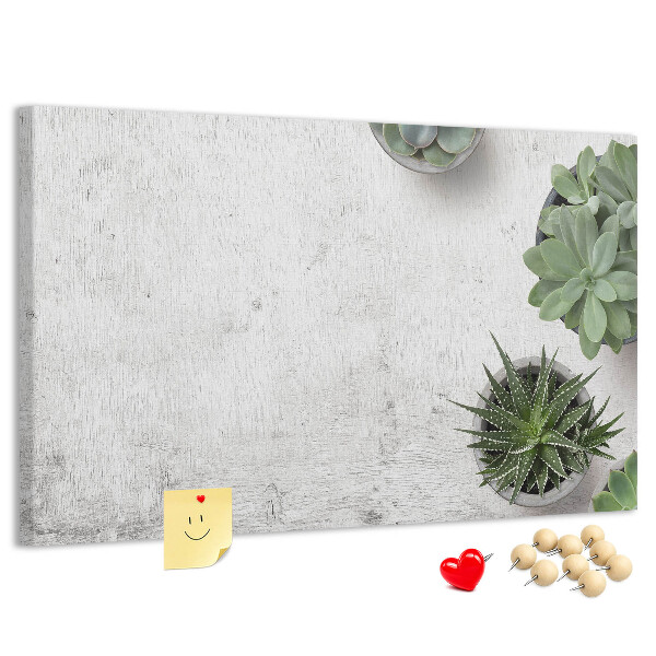 Kurkbord potplanten op een grijze achtergrond