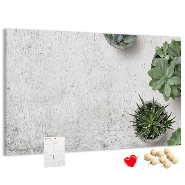 Kurkbord potplanten op een grijze achtergrond