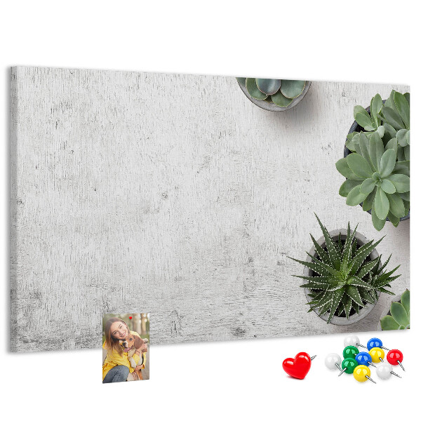 Kurkbord potplanten op een grijze achtergrond