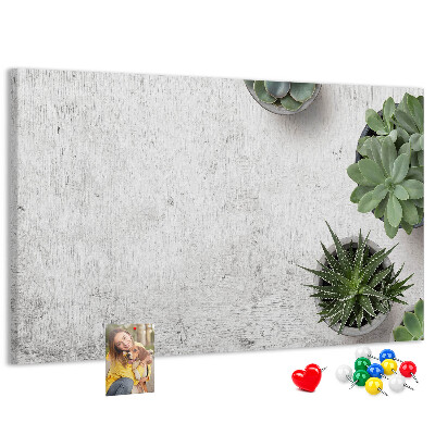 Kurkbord potplanten op een grijze achtergrond