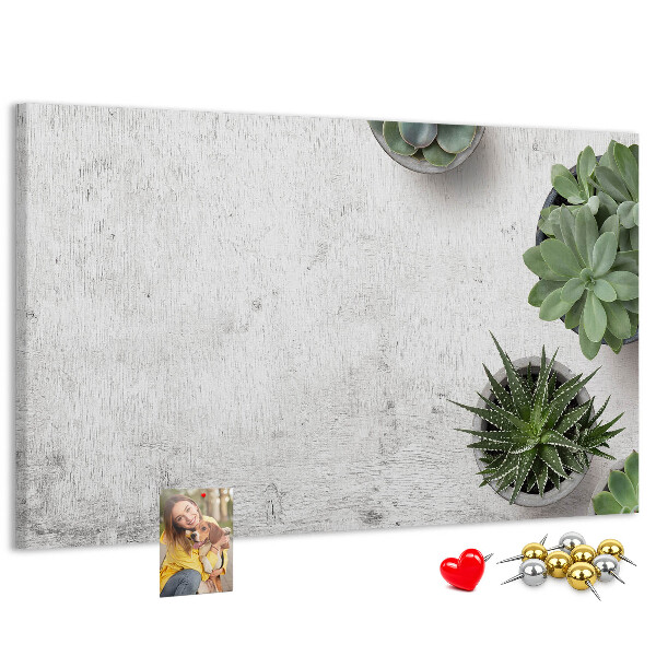 Kurkbord potplanten op een grijze achtergrond
