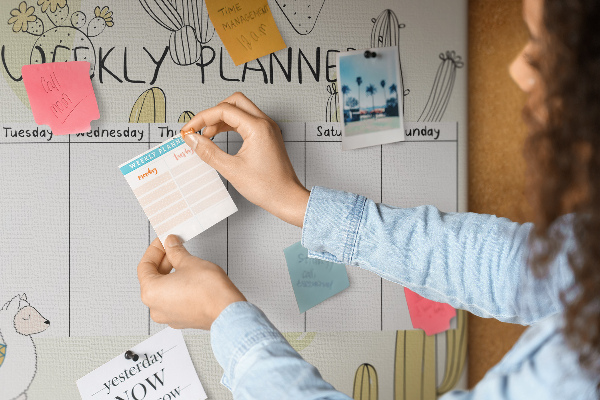 Kurk prikbord met cactussen en dieren in een minimalistische stijl