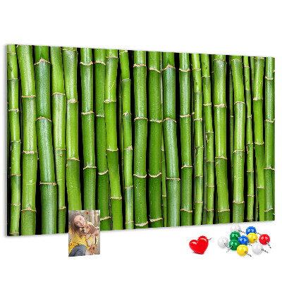 Prikbord met groene bamboestengels in natuurlijke schikking