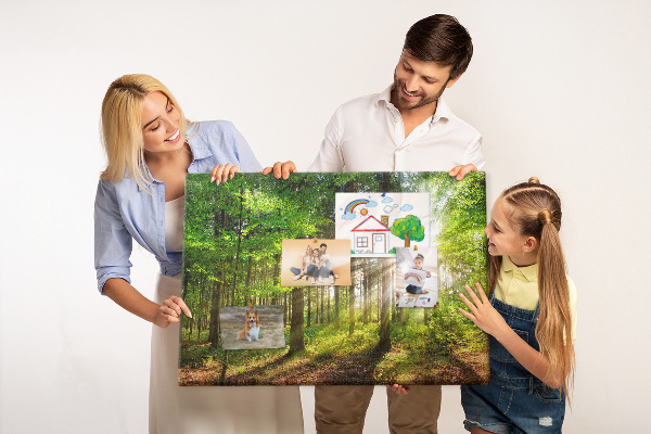 Kurkbord zonnestralen in het groene bos