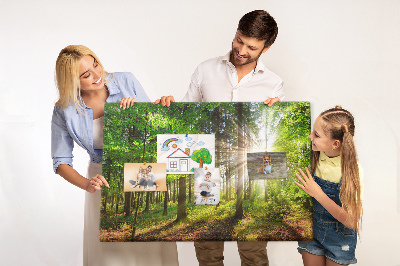 Kurkbord zonnestralen in het groene bos