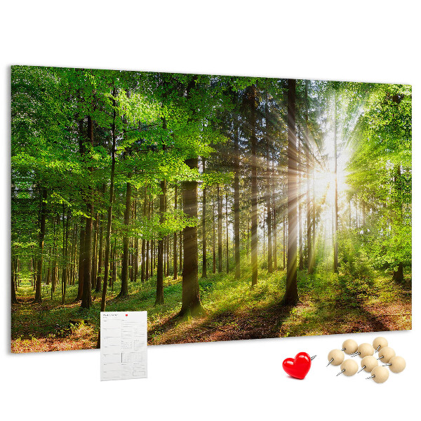 Kurkbord zonnestralen in het groene bos