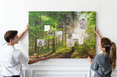 Kurkbord zonnestralen in het groene bos