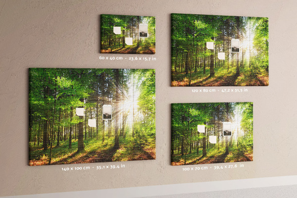 Kurkbord zonnestralen in het groene bos