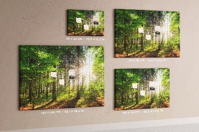 Kurkbord zonnestralen in het groene bos