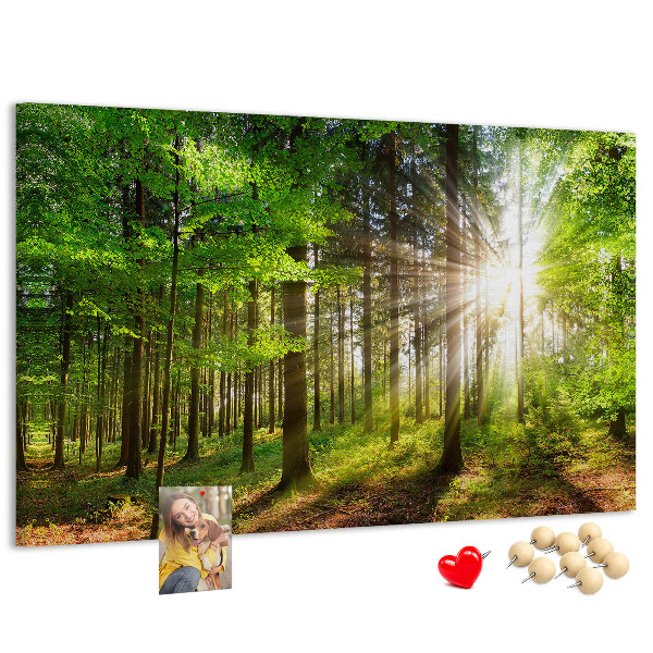 Kurkbord zonnestralen in het groene bos