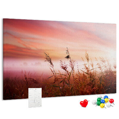 Kurk prikbord met een afbeelding van een zonsondergang boven een grasveld