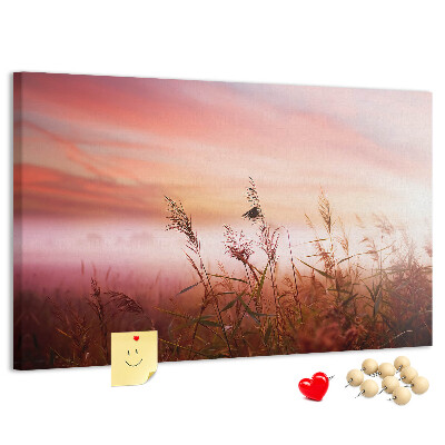 Kurk prikbord met een afbeelding van een zonsondergang boven een grasveld