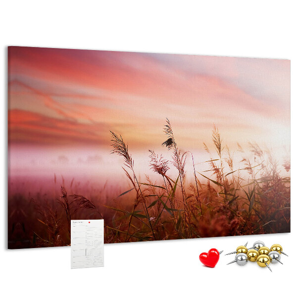 Kurk prikbord met een afbeelding van een zonsondergang boven een grasveld