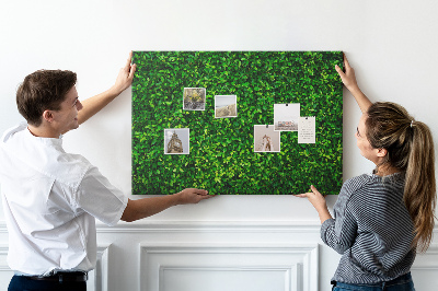 Kurken prikbord met groene muur en bladerrijk plantenpatroon