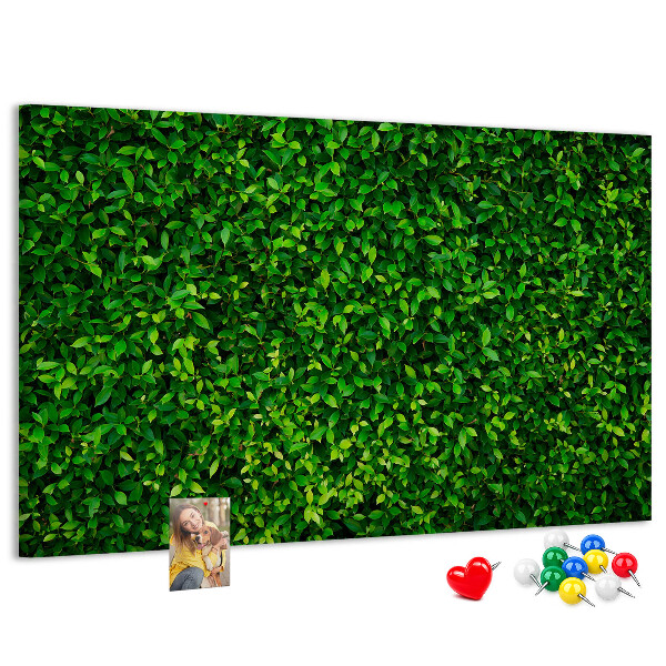 Kurken prikbord met groene muur en bladerrijk plantenpatroon