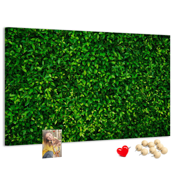 Kurken prikbord met groene muur en bladerrijk plantenpatroon