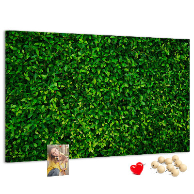 Kurken prikbord met groene muur en bladerrijk plantenpatroon